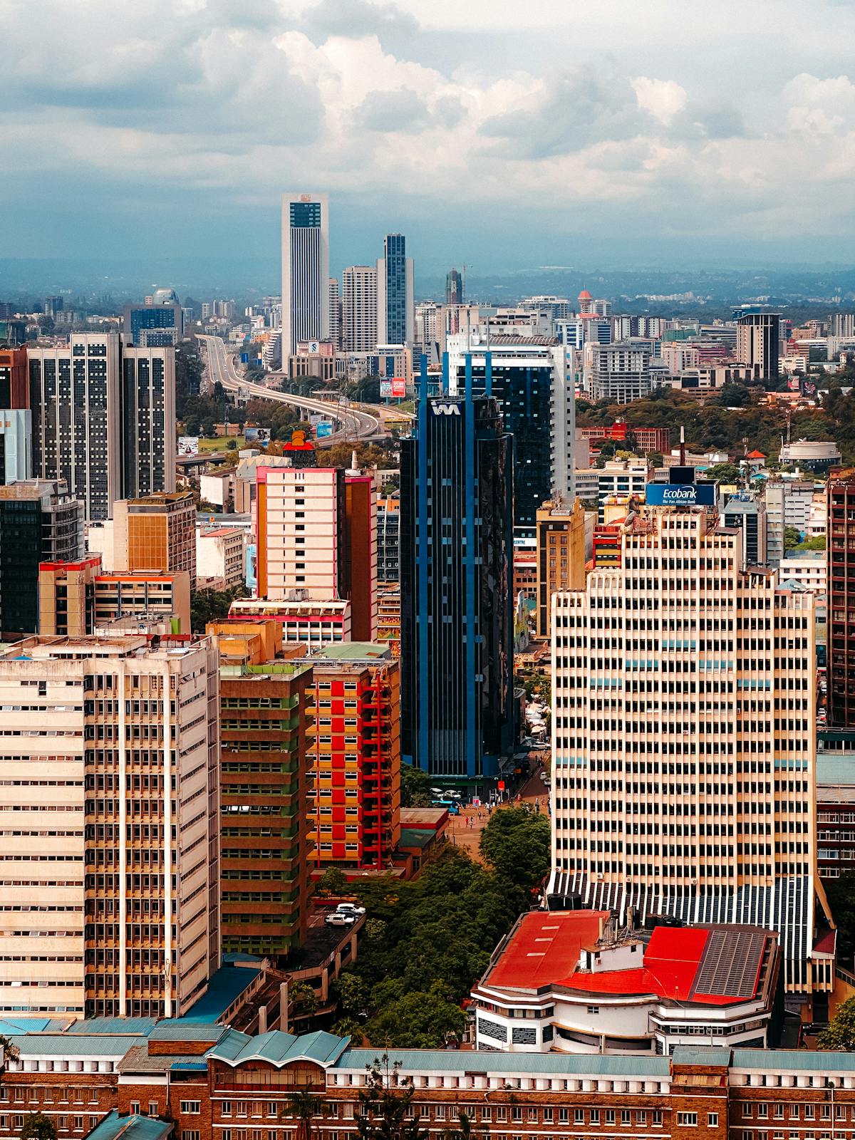 Kenyan Diaspora in the United States: Navigating Dual Life Between America and Kenya