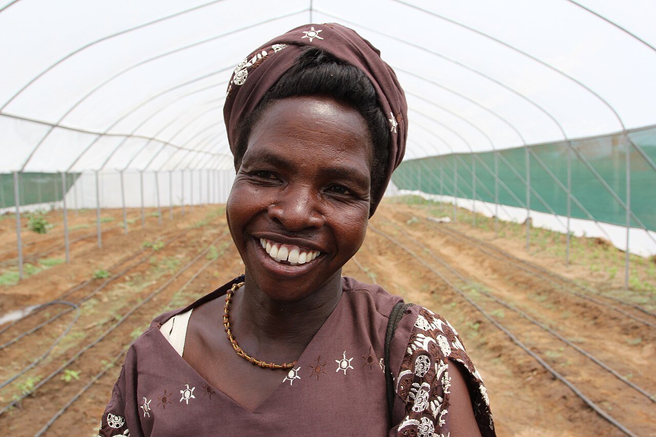 Kenyan pastoral landscape representing the beef cattle ranching sub-sector